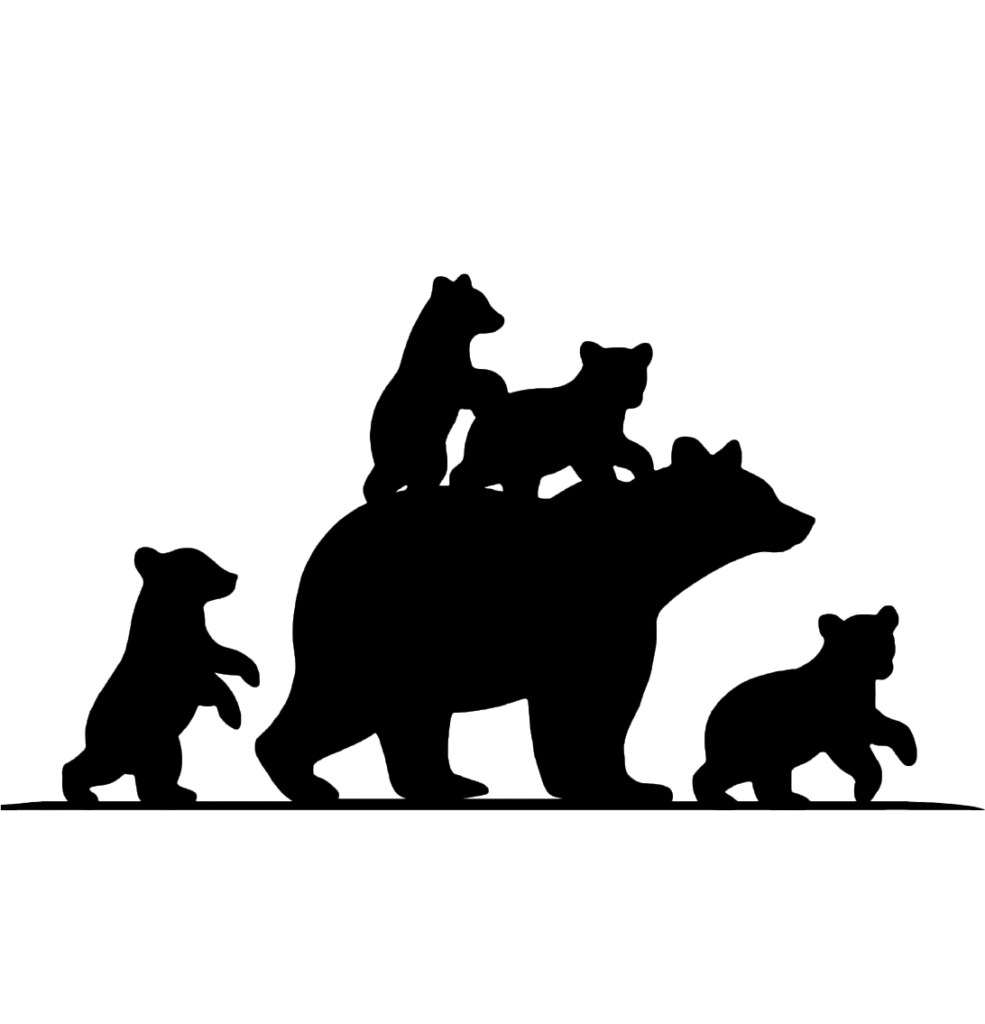 bears logo